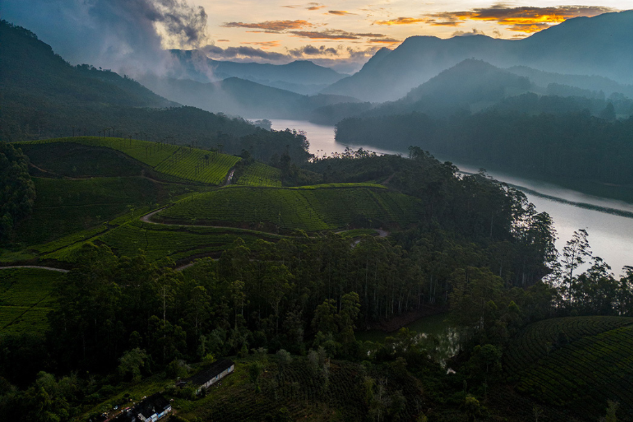 Eravikulam National Park