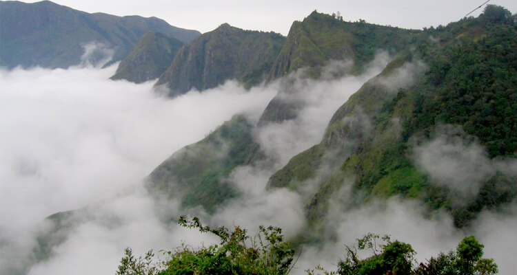 Eravikulam National Park